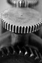 Black and white gear macro as teamwork Royalty Free Stock Photo