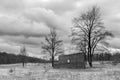 Black and white german inner border fence in the forest