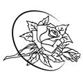 black and white graphic drawing of a rose, contour flower, antistress coloring book