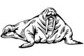 Black and white graphic illustration of walrus