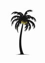 Black Silhouette Palm Tree With Banana - Vector Icon