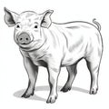 Black And White Graphic Novel Style Pig Drawing