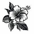 Bold Stencil Hibiscus Flower Drawing In Black And White