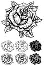 Black and white graphic realistic detailed rose