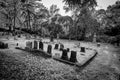 Black and White Grave Markers at an Old Cemetery Royalty Free Stock Photo