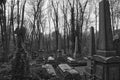 Black and white graves Highgate Cemetery Royalty Free Stock Photo