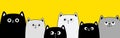 Black white gray cat face head set. Cats kittens family. Line banner. Cute cartoon funny character. Contour doodle. Pet baby