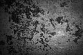 Black white grunge background. Rusty metal texture. Dark gray rough background . Royalty Free Stock Photo