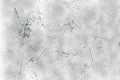 Black and white grunge. Distress overlay texture. Abstract surface dust and rough dirty wall background Royalty Free Stock Photo