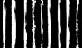 Black and white grunge striped pattern for fabric factories and unisex