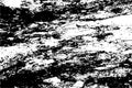 Black and White Grunge Texture Vectors Illustration Royalty Free Stock Photo