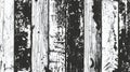 Black and white grunge wooden distress textured background. Old wood rustic texture. Royalty Free Stock Photo