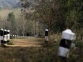 Black and white guide post Surrounded by grasses beside the road in the forest.soft focus Royalty Free Stock Photo