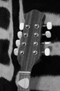 Black and white guitar mandolin headstock Royalty Free Stock Photo
