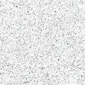 Black and white halftone pattern with textured speckled dots on a light background Royalty Free Stock Photo