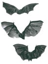 Three flying bats in shades of gray with large spread wings Royalty Free Stock Photo