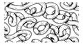 Black and white hand drawn chain links seamless pattern interlocking curved metal loops vector art design background texture Royalty Free Stock Photo