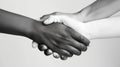 Black and white hands in a firm handshake against a light background Royalty Free Stock Photo