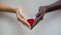 Black and white hands holding red heart on a gray background. The concept of inter-racial friendship and respect, the