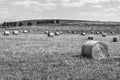 Black and white photo of hay bales and field Royalty Free Stock Photo