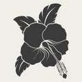 Black and white hibiscus flower shape