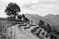 Black and white Hillside terraces