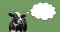 Holstein Cow with Blank Thought Bubble on Green Background Farm Animal Concept Royalty Free Stock Photo
