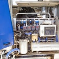 Black and white holstein cow milked by milking robot