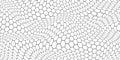 Black and white honey hexagonal cells background
