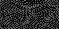 Black and white honey hexagonal cells background