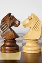 Black and white horse chess