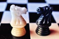 Black and white horse chess piece Royalty Free Stock Photo