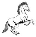 Black and white horse illustration