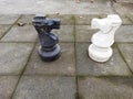 Black and white horses chess Royalty Free Stock Photo