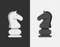Black and white horses of chess
