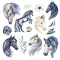 Black and white horses and flowers. watercolor illustration on white background. Magic fantasy cartoon design Royalty Free Stock Photo