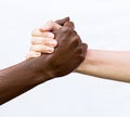 Black-and-white human hands in a joint handshake gathered into a fist. The concept of combating racism