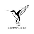 Black and white hummingbird vector illustration 02 Royalty Free Stock Photo