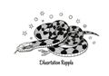 Black and white illustration of a coiled snake, featuring distinct Royalty Free Stock Photo