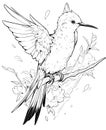 Black and white illustration for coloring birds, calibri.