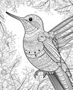 Black and white illustration for coloring birds, calibri.