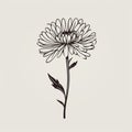 Minimalistic Chrysanthemum Sketch: Vintage Style Tattoo Design Royalty Free Stock Photo