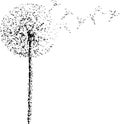 Black and white illustration of a dandelion in the wind. Flower of Paradise