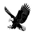 Contrast to capture the distinct features of the eagle set against a plain Royalty Free Stock Photo