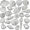 A black and white illustration features an array of various seashells, showcasing their Royalty Free Stock Photo