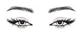 Black and white illustration of female eyes with long eyelashes and eyebrows. Beauty logo eyelash salon logo