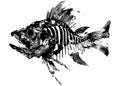 Fish Skeleton Set, Two Vintage Xerography Halftone Engravings, Black and White Grunge Vector Illustration Royalty Free Stock Photo