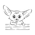 Black and white illustration of a funny fennec fox who standing by the fence and looking severely