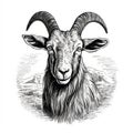 Charming Wood Engraving: Head Of A Goat By Kerem Beyit