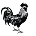 Black and white illustration. majestic rooster